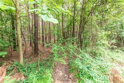 property photo for Whiskey Ridge Tract 37, 6.05 acres for sale in Henderson County, Tennessee