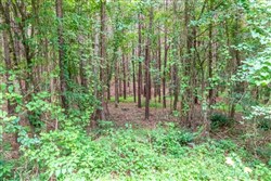 property photo for Whiskey Ridge Tract 37, 6.05 acres for sale in Henderson County, Tennessee