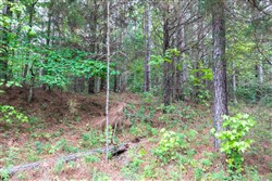 property photo for Whiskey Ridge Tract 38, 5.84 acres for sale in Henderson County, Tennessee