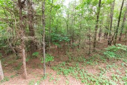 property photo for Whiskey Ridge Tract 39, 6.31 acres for sale in Henderson County, Tennessee