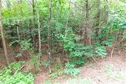 property photo for Whiskey Ridge Tract 39, 6.31 acres for sale in Henderson County, Tennessee