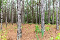 property photo for Whiskey Ridge Tract 39, 6.31 acres for sale in Henderson County, Tennessee