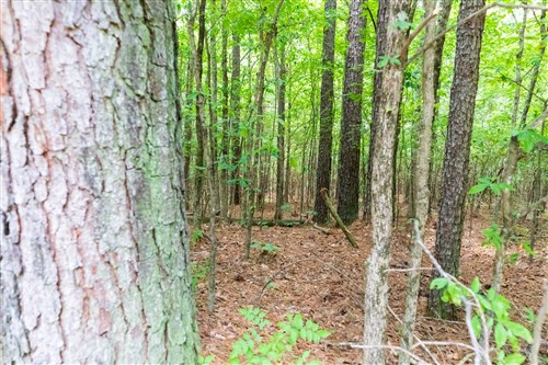 Whiskey Ridge Tract 4