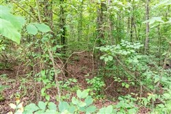 Whiskey Ridge Tract 4