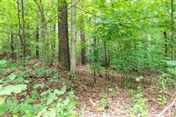 Whiskey Ridge Tract 4