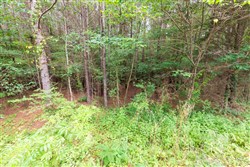 property photo for Whiskey Ridge Tract 40, 8.44 acres for sale in Henderson County, Tennessee