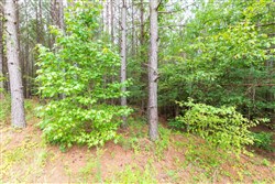 property photo for Whiskey Ridge Tract 40, 8.44 acres for sale in Henderson County, Tennessee