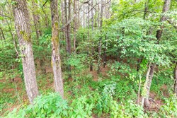 property photo for Whiskey Ridge Tract 40, 8.44 acres for sale in Henderson County, Tennessee