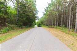 property photo for Whiskey Ridge Tract 40, 8.44 acres for sale in Henderson County, Tennessee
