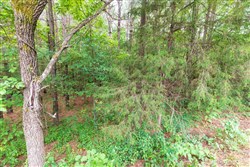 property photo for Whiskey Ridge Tract 40, 8.44 acres for sale in Henderson County, Tennessee