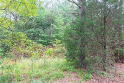 property photo for Whiskey Ridge Tract 41, 7.55 acres for sale in Henderson County, Tennessee