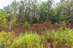 property photo for Whiskey Ridge Tract 41, 7.55 acres for sale in Henderson County, Tennessee