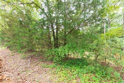 property photo for Whiskey Ridge Tract 41, 7.55 acres for sale in Henderson County, Tennessee