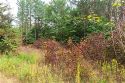 property photo for Whiskey Ridge Tract 41, 7.55 acres for sale in Henderson County, Tennessee