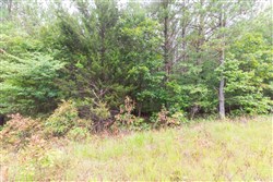 property photo for Whiskey Ridge Tract 42, 5.24 acres for sale in Henderson County, Tennessee