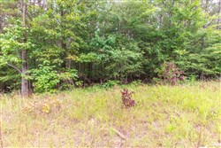 property photo for Whiskey Ridge Tract 43, 5.87 acres for sale in Henderson County, Tennessee