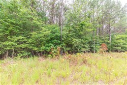 property photo for Whiskey Ridge Tract 43, 5.87 acres for sale in Henderson County, Tennessee