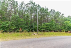 property photo for Whiskey Ridge Tract 43, 5.87 acres for sale in Henderson County, Tennessee