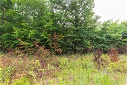 property photo for Whiskey Ridge Tract 43, 5.87 acres for sale in Henderson County, Tennessee