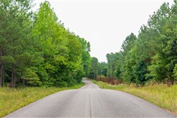 property photo for Whiskey Ridge Tract 44, 6.34 acres for sale in Henderson County, Tennessee