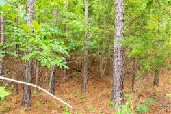 property photo for Whiskey Ridge Tract 44, 6.34 acres for sale in Henderson County, Tennessee