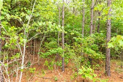 property photo for Whiskey Ridge Tract 44, 6.34 acres for sale in Henderson County, Tennessee