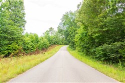 property photo for Whiskey Ridge Tract 44, 6.34 acres for sale in Henderson County, Tennessee