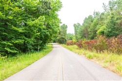 property photo for Whiskey Ridge Tract 45, 6.17 acres for sale in Henderson County, Tennessee