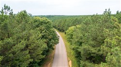 property photo for Whiskey Ridge Tract 46, 5.82 acres for sale in Henderson County, Tennessee