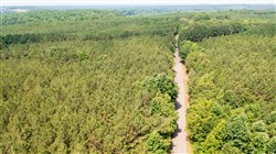 property photo for Whiskey Ridge Tract 46, 5.82 acres for sale in Henderson County, Tennessee