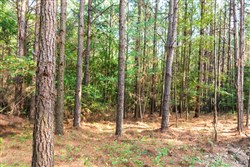 property photo for Whiskey Ridge Tract 46, 5.82 acres for sale in Henderson County, Tennessee
