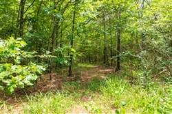 property photo for Whiskey Ridge Tract 47, 5.77 acres for sale in Henderson County, Tennessee