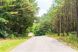 property photo for Whiskey Ridge Tract 47, 5.77 acres for sale in Henderson County, Tennessee