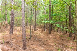 property photo for Whiskey Ridge Tract 47, 5.77 acres for sale in Henderson County, Tennessee