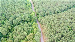 property photo for Whiskey Ridge Tract 48, 5.19 acres for sale in Henderson County, Tennessee