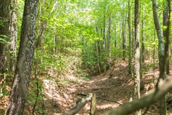 property photo for Whiskey Ridge Tract 48, 5.19 acres for sale in Henderson County, Tennessee