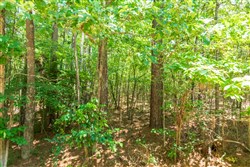 property photo for Whiskey Ridge Tract 49, 5.07 acres for sale in Henderson County, Tennessee
