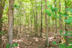 property photo for Whiskey Ridge Tract 49, 5.07 acres for sale in Henderson County, Tennessee