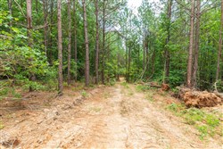 Whiskey Ridge Tract 5