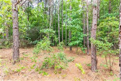 Whiskey Ridge Tract 5