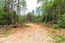 Whiskey Ridge Tract 5