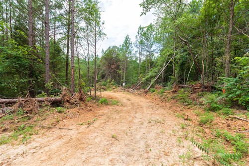 Whiskey Ridge Tract 5