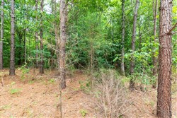 Whiskey Ridge Tract 5