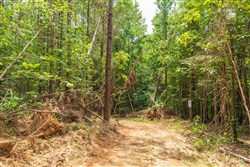 Whiskey Ridge Tract 5