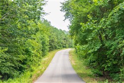 property photo for Whiskey Ridge Tract 50, 5.04 acres for sale in Henderson County, Tennessee