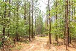 property photo for Whiskey Ridge Tract 50, 5.04 acres for sale in Henderson County, Tennessee