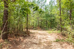 property photo for Whiskey Ridge Tract 50, 5.04 acres for sale in Henderson County, Tennessee