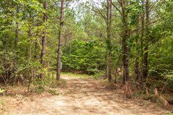 property photo for Whiskey Ridge Tract 50, 5.04 acres for sale in Henderson County, Tennessee