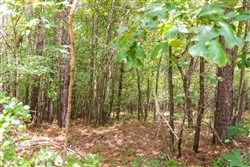 property photo for Whiskey Ridge Tract 51, 5.33 acres for sale in Henderson County, Tennessee