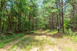 property photo for Whiskey Ridge Tract 52, 5.19 acres for sale in Henderson County, Tennessee